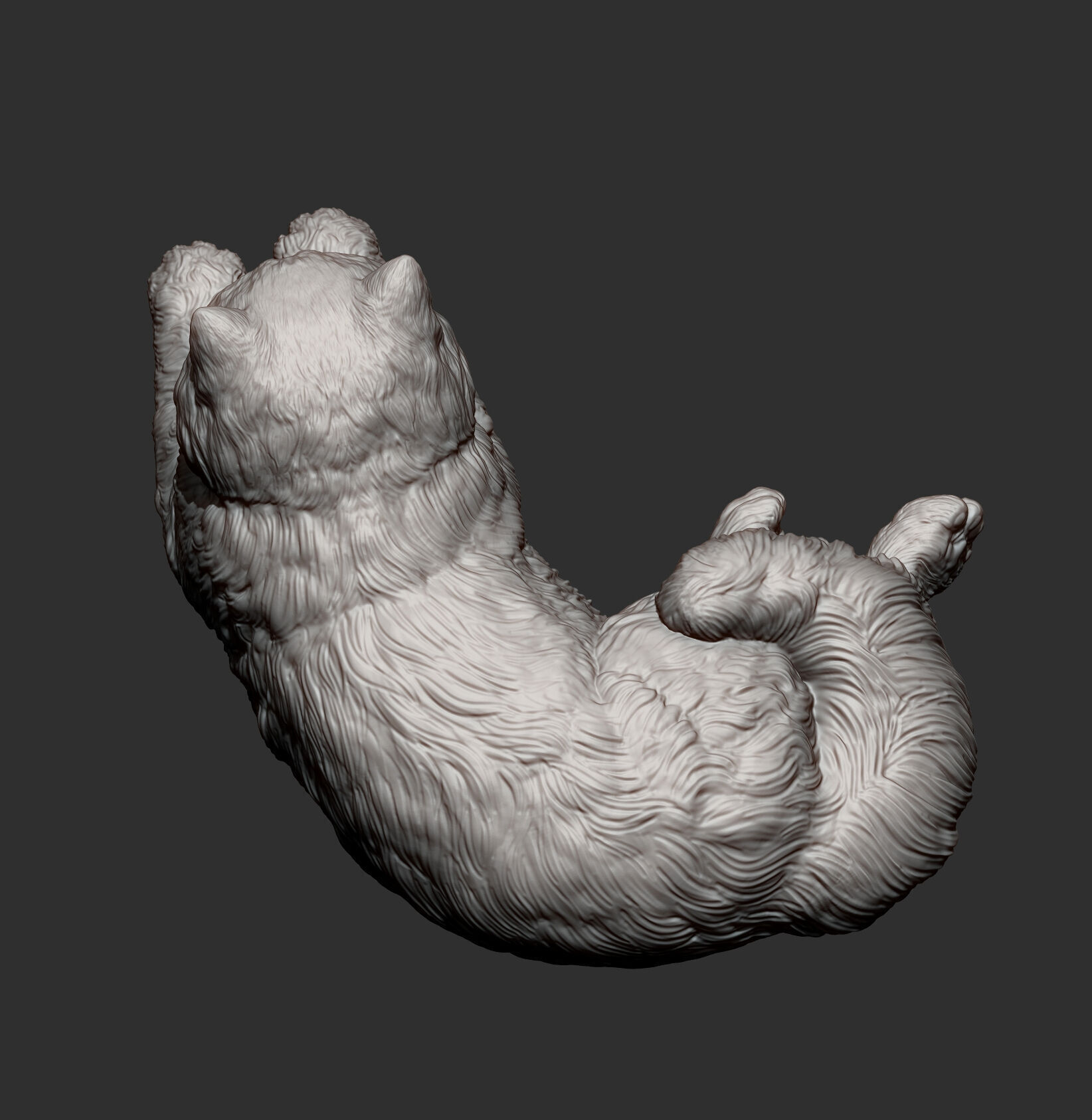 Persian cat lying down 3D print model_12