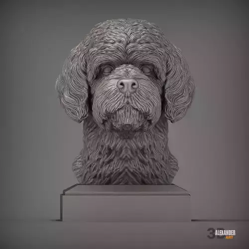 Portuguese Water Dogs bust