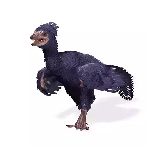 BIRD RIGGED PREHISTORIC BIRD