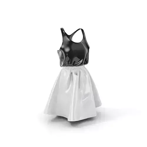 Casual Dress Model Pack for Realistic Animation and Rendering Low-poly 3D model