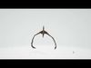 Flying Pterodactyl Low-poly 3D model_1