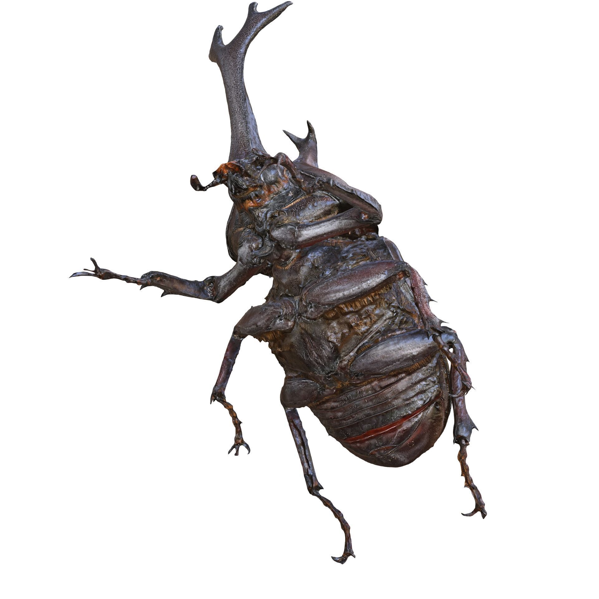 BEETLE INSECT ANIMAL ANT FOREST NATURE GRASS TREE GARDEN 3D print model_4