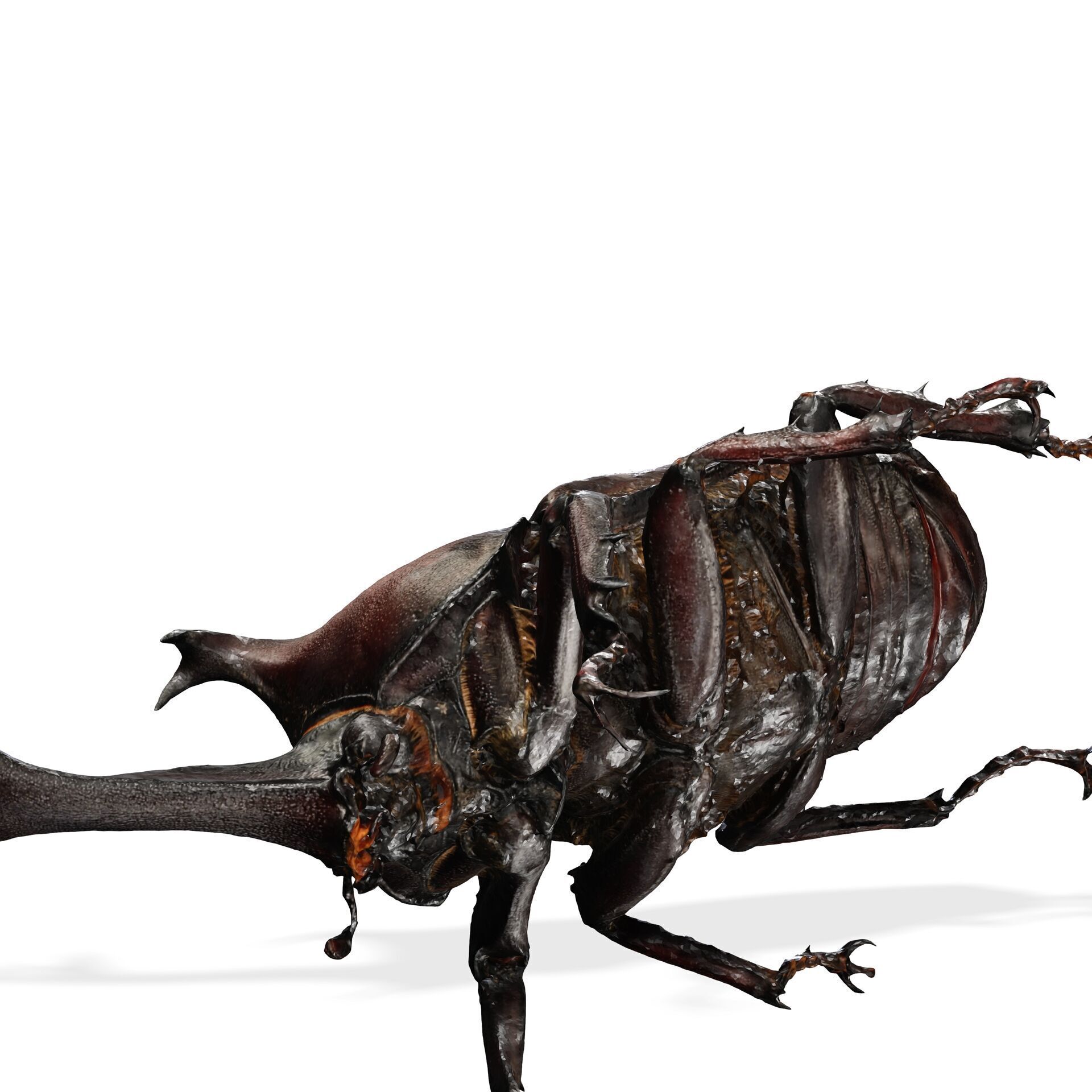 BEETLE INSECT ANIMAL ANT FOREST NATURE GRASS TREE GARDEN 3D print model_6