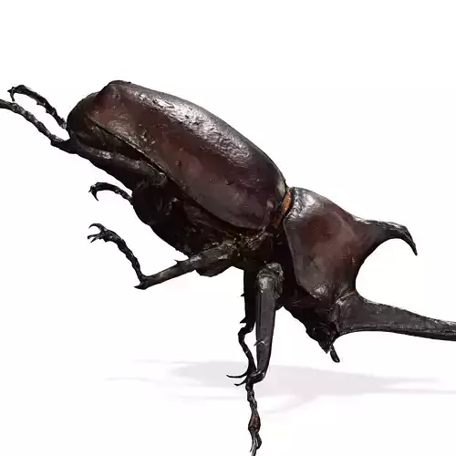 BEETLE INSECT ANIMAL ANT FOREST NATURE GRASS TREE GARDEN 3D print model