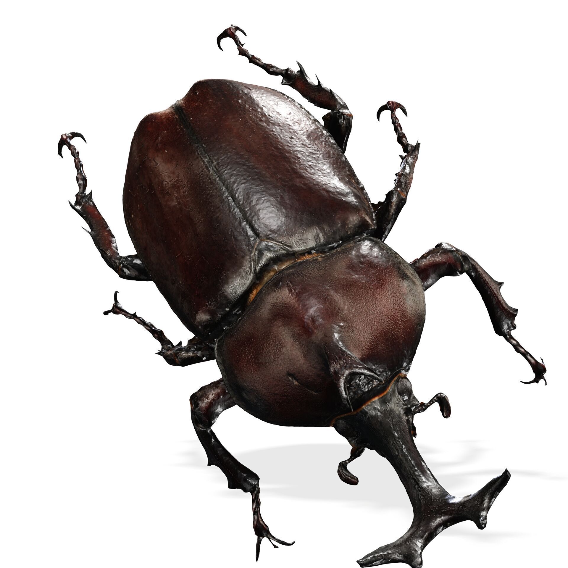 BEETLE INSECT ANIMAL ANT FOREST NATURE GRASS TREE GARDEN 3D print model_7