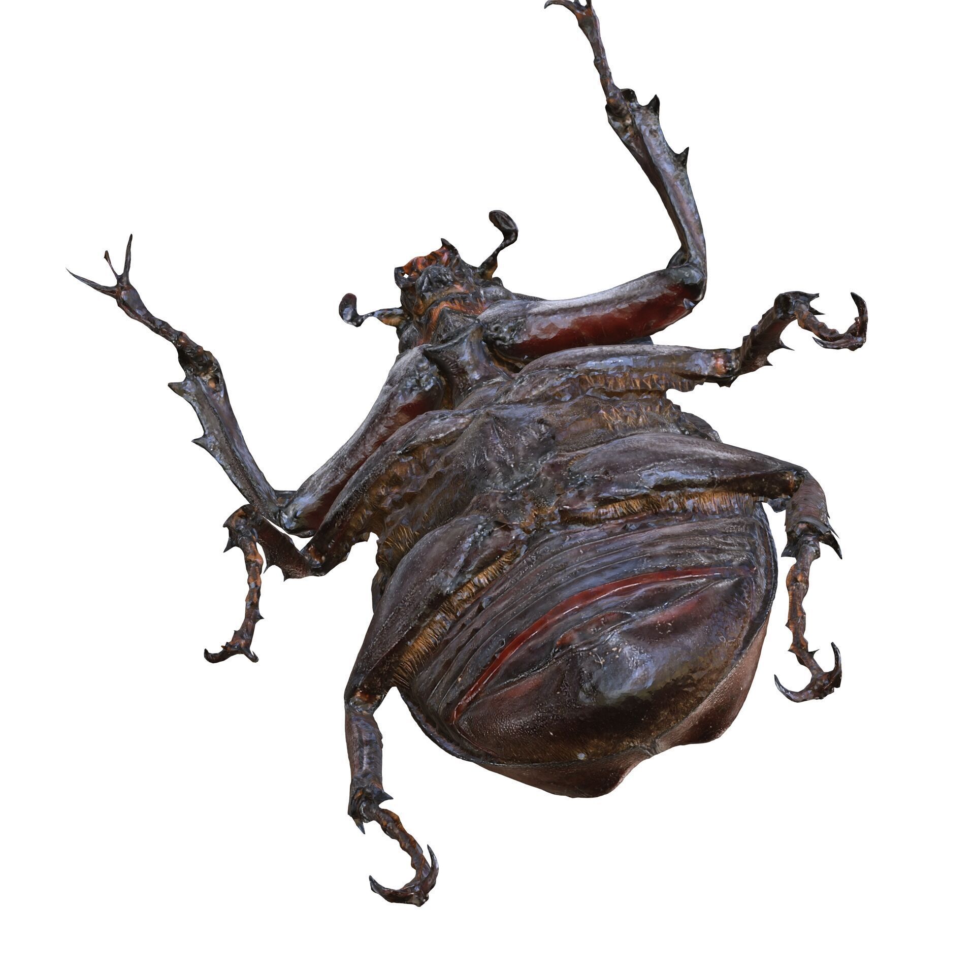 BEETLE INSECT ANIMAL ANT FOREST NATURE GRASS TREE GARDEN 3D print model_5