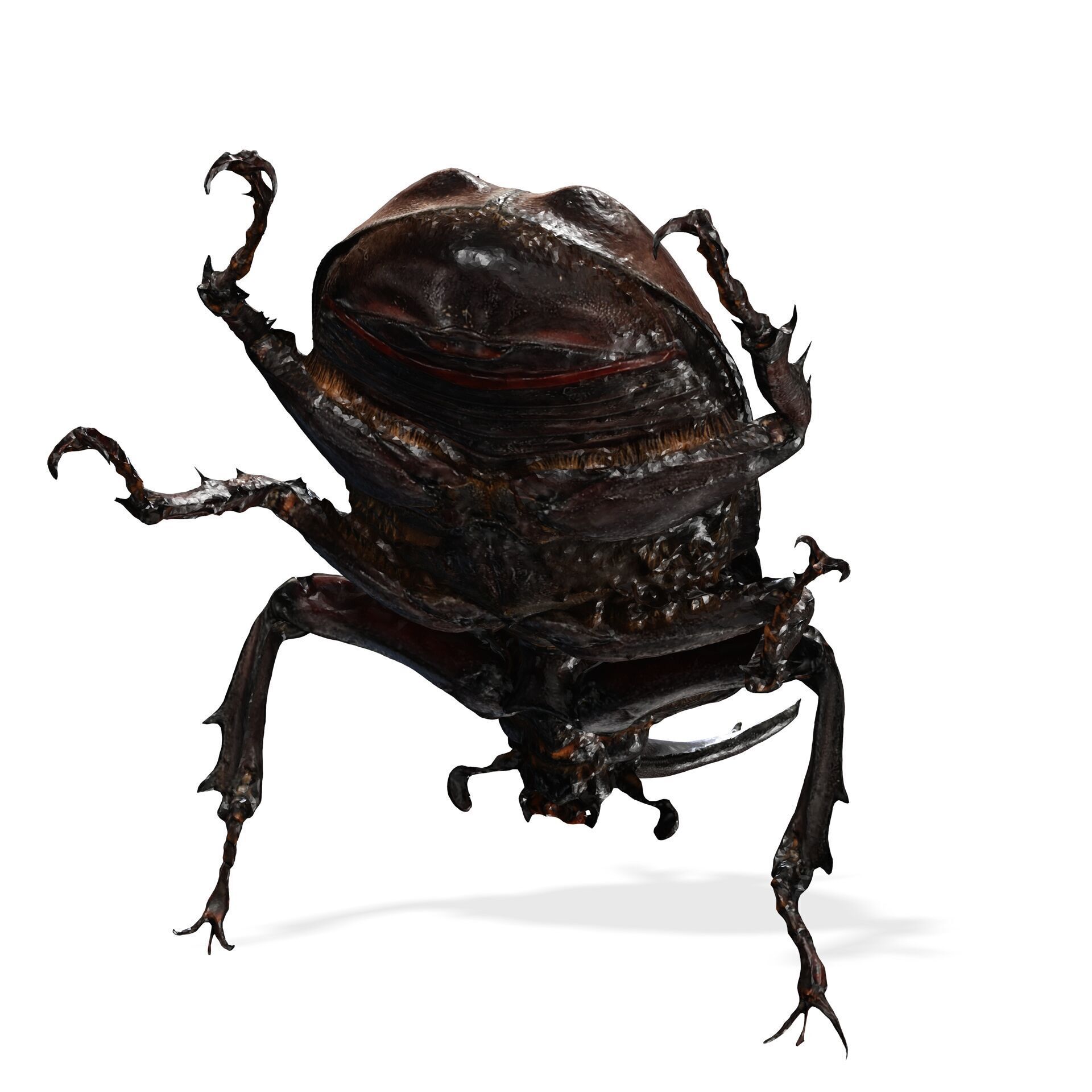 BEETLE INSECT ANIMAL ANT FOREST NATURE GRASS TREE GARDEN 3D print model_2