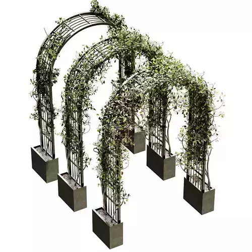 Green Corridor Landscape exterior green set 641 3D model