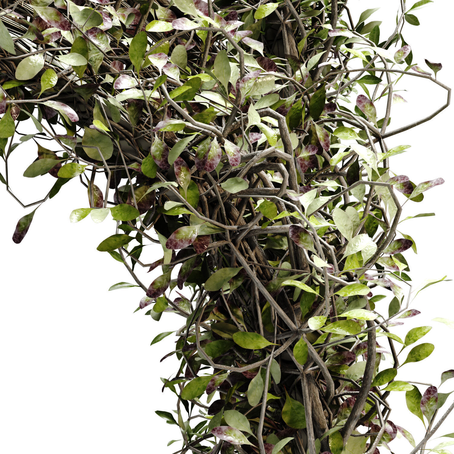 Green Corridor Landscape exterior green set 641 3D model_2