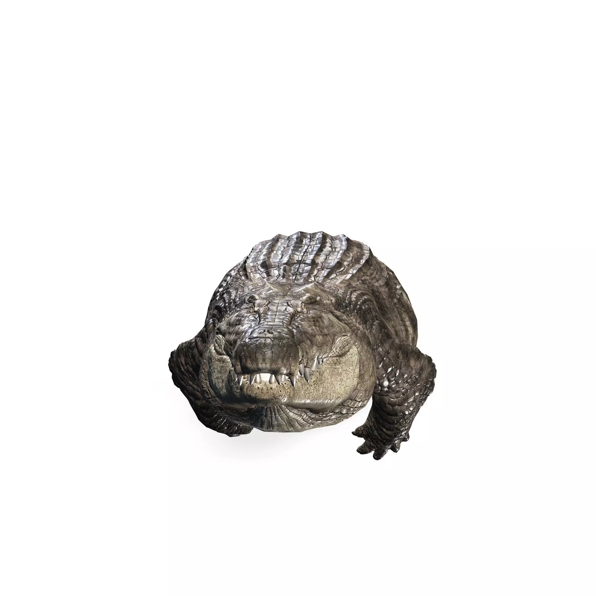 Crocodile RIGGED ALLIGATOR 3D PRINTABLE LIZARD Low-poly 3D model_0