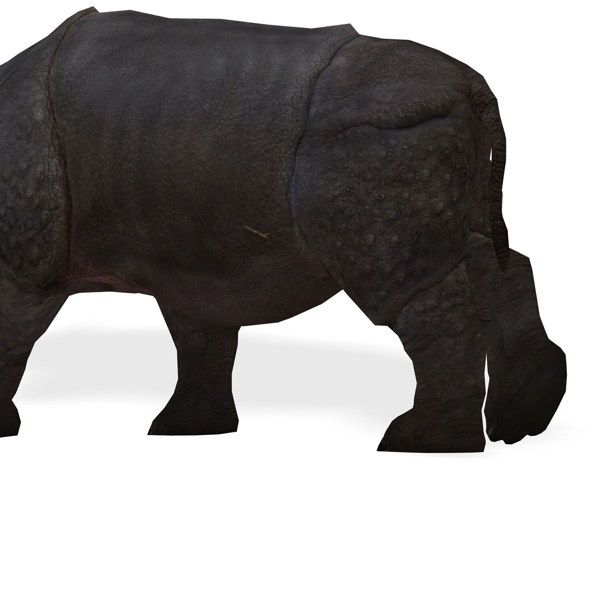RHINOCEROS RHINO PRINTABLE HORN 3D print model_7