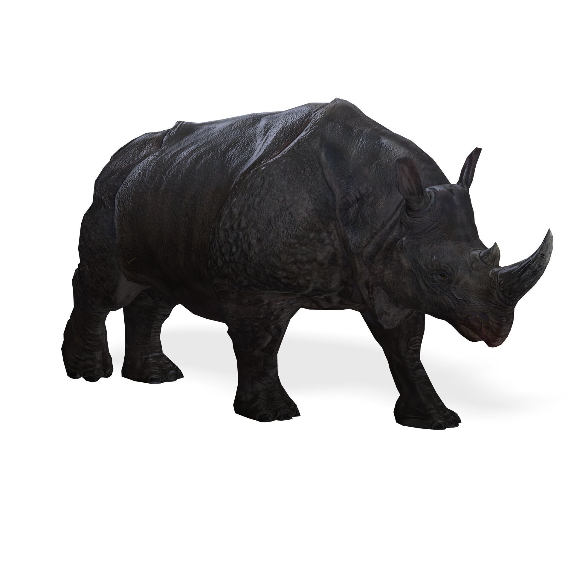 RHINOCEROS RHINO PRINTABLE HORN 3D print model_3