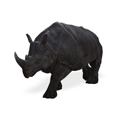RHINOCEROS RHINO PRINTABLE HORN 3D print model