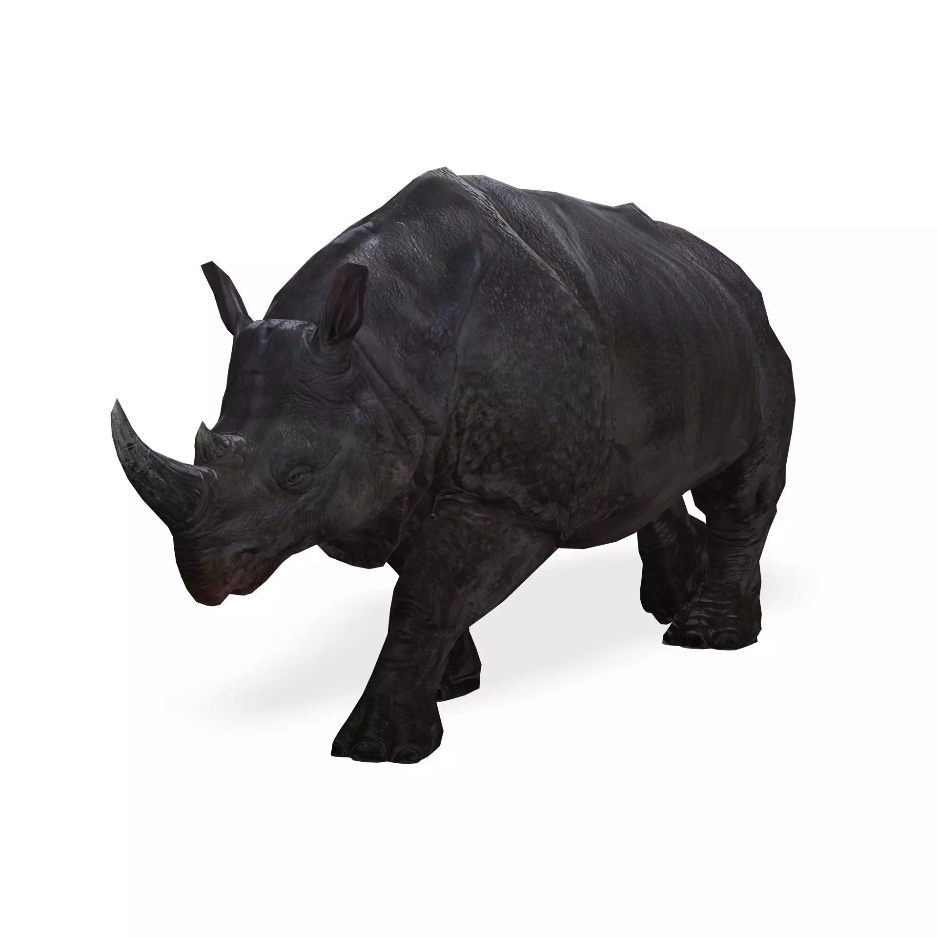 RHINOCEROS RHINO PRINTABLE HORN 3D print model_0