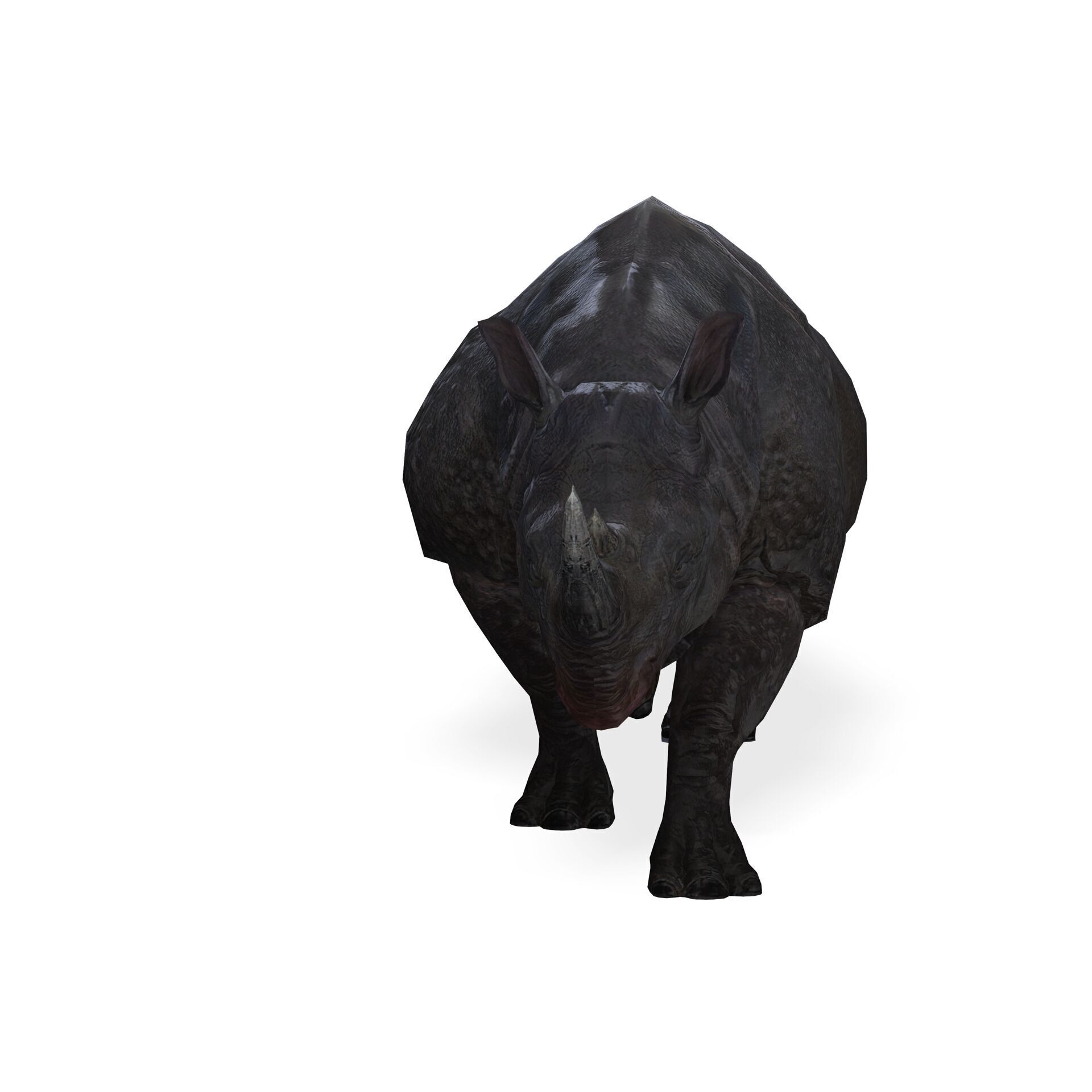 RHINOCEROS RHINO PRINTABLE HORN 3D print model_2