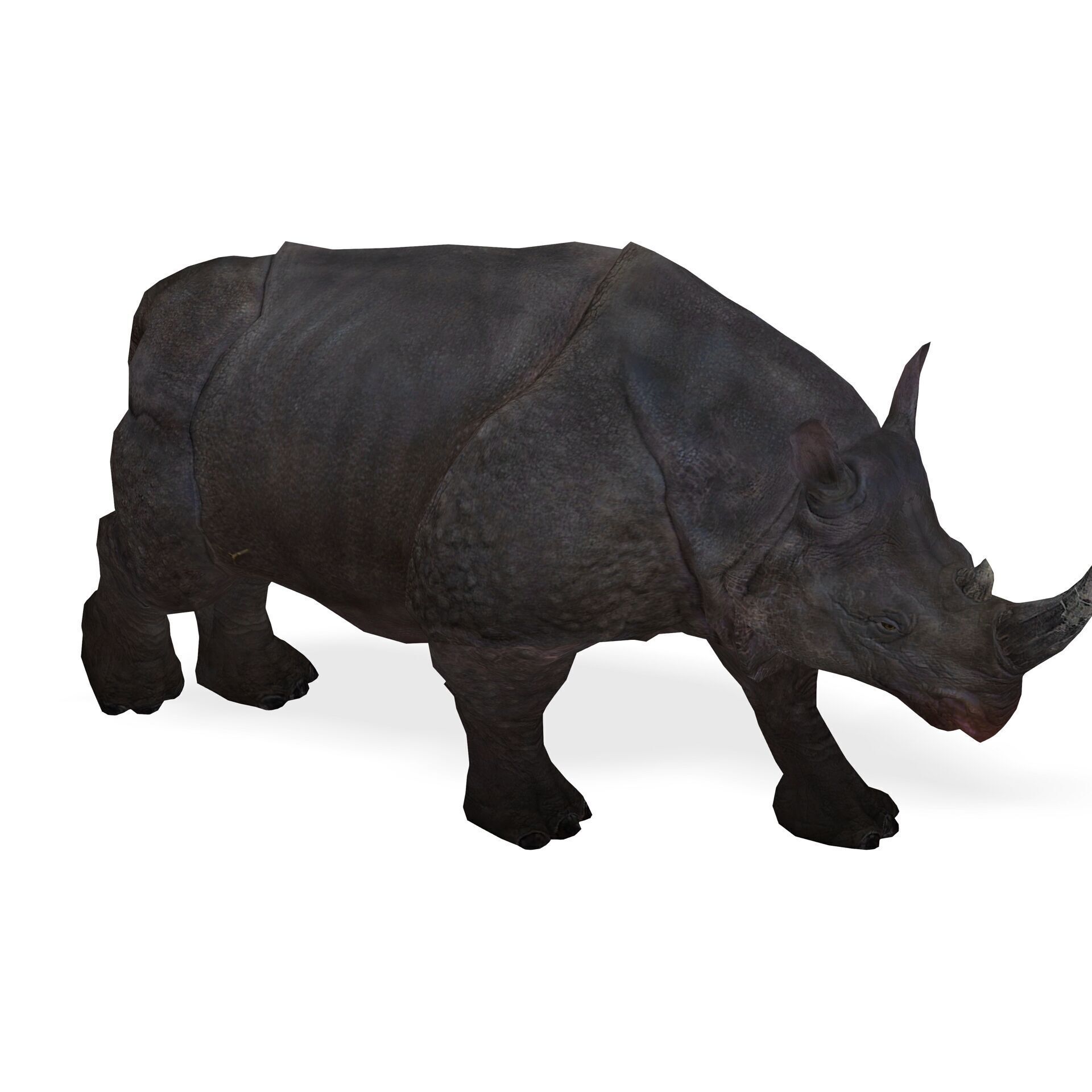 RHINOCEROS RHINO PRINTABLE HORN 3D print model_5