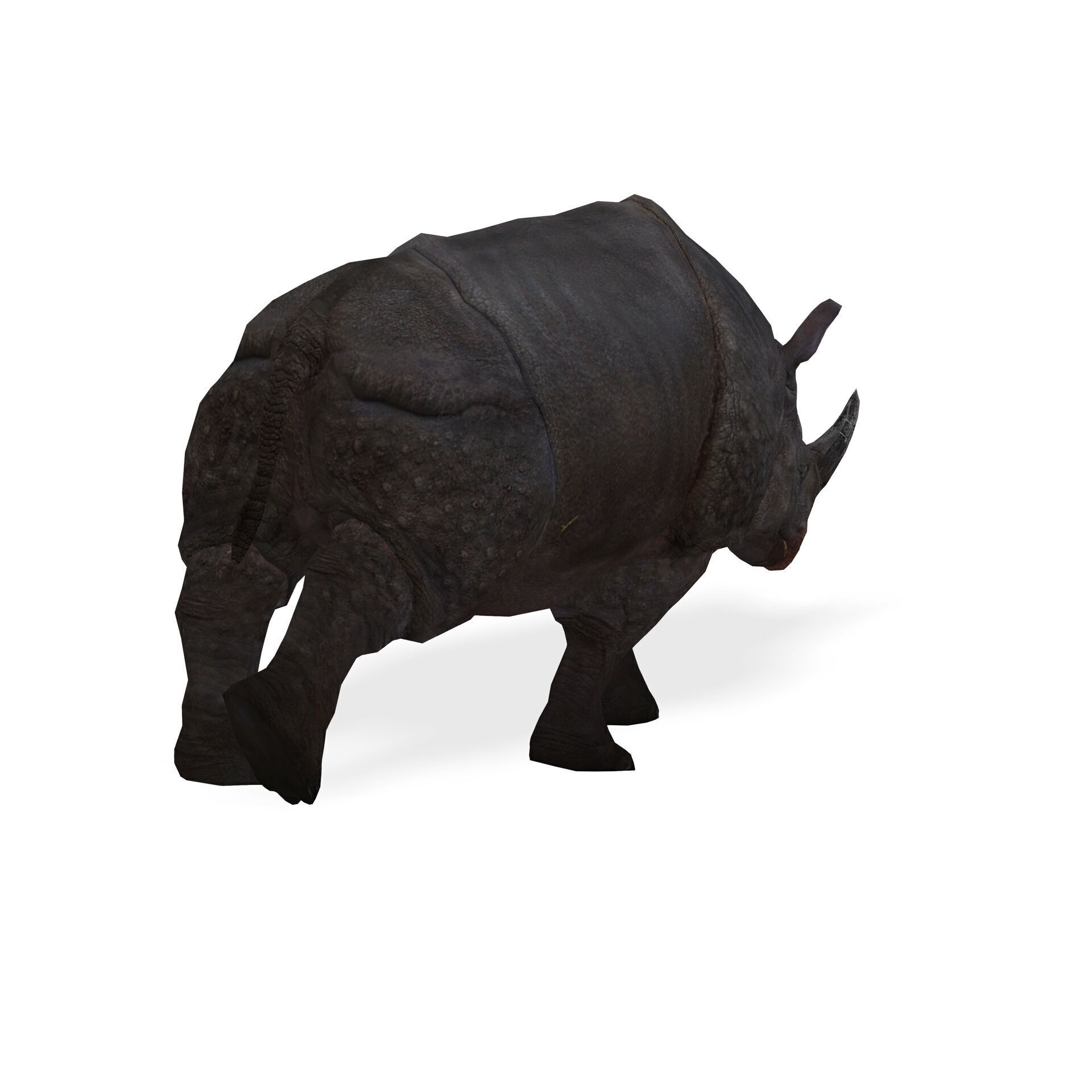 RHINOCEROS RHINO PRINTABLE HORN 3D print model_6