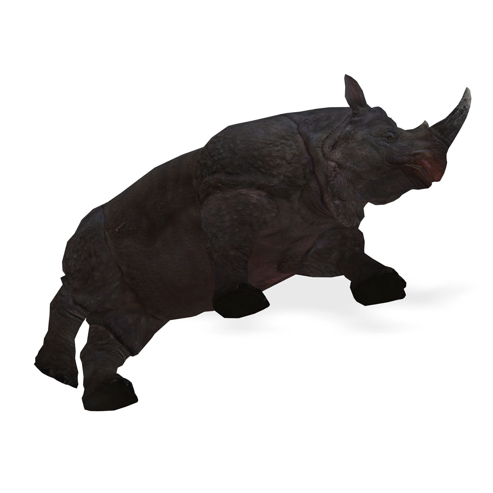RHINOCEROS RHINO PRINTABLE HORN 3D print model_4
