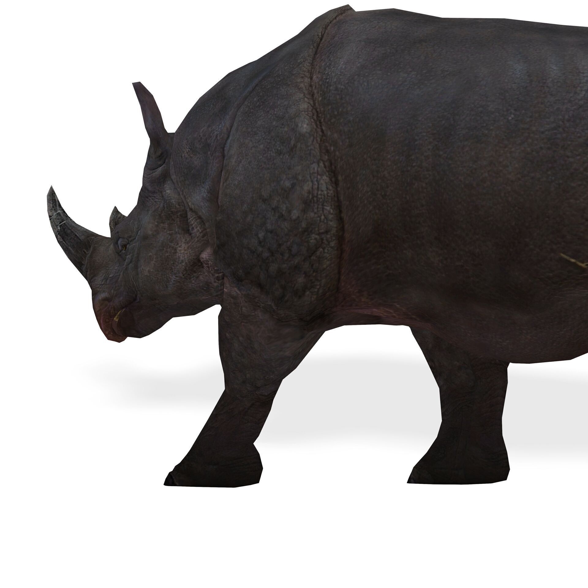 RHINOCEROS RHINO PRINTABLE HORN 3D print model_1