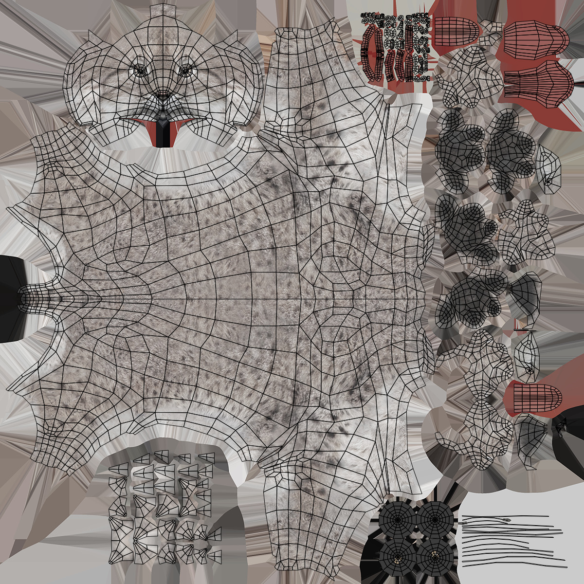 Lynx Cat 3D model_18