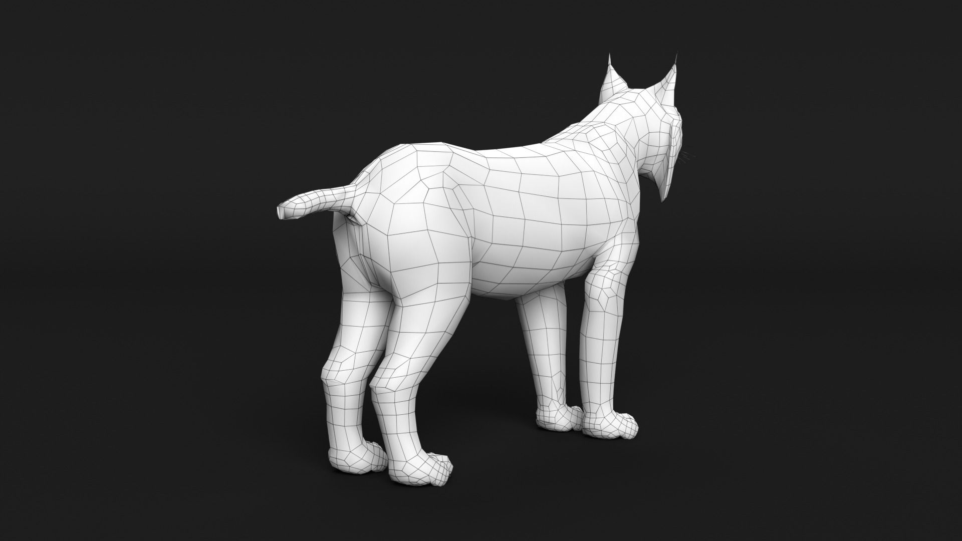 Lynx Cat 3D model_17