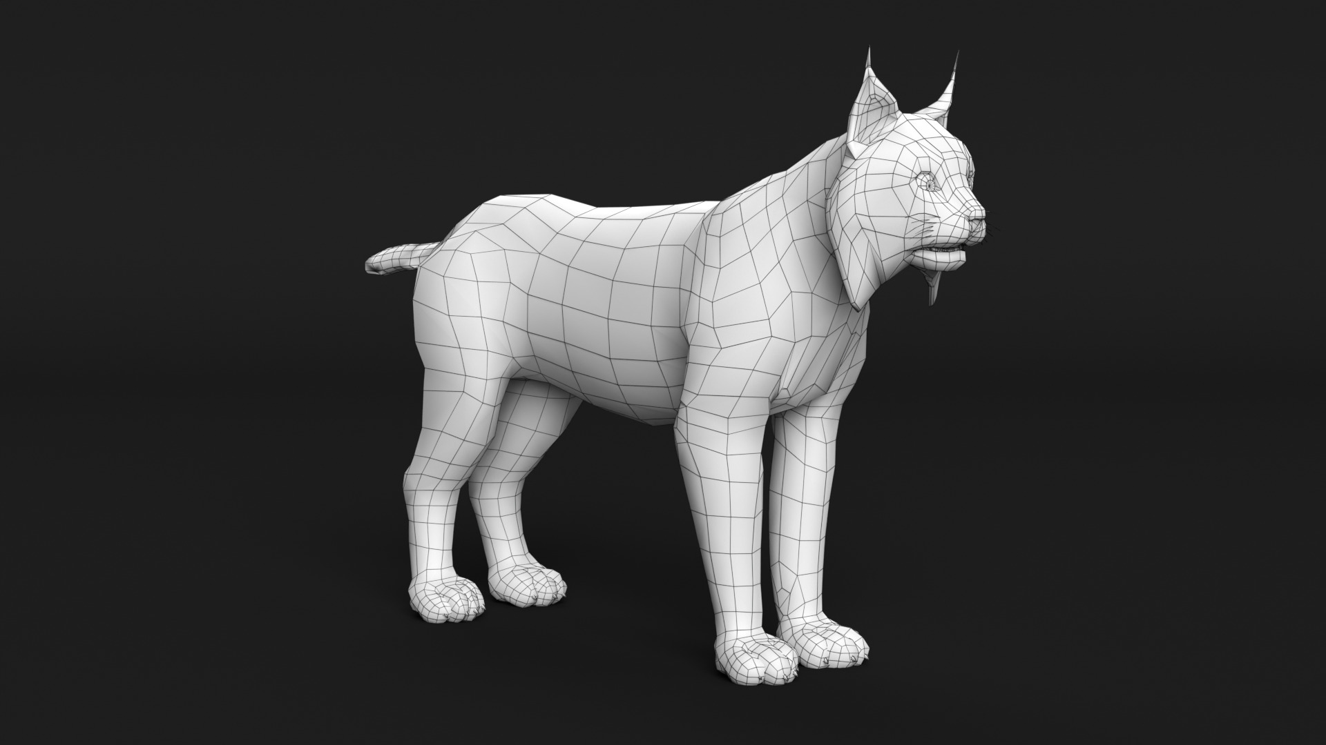 Lynx Cat 3D model_16