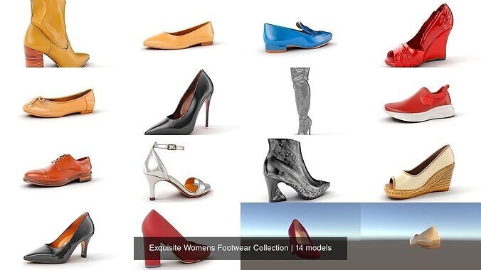 Exquisite Womens Footwear Collection 