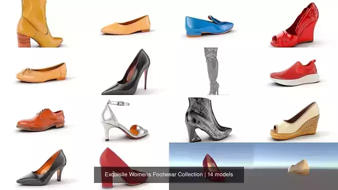 Exquisite Womens Footwear Collection 