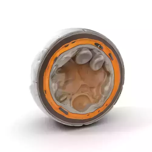 Metal Sphere CrossSection Model Pack with Detailed Interior Low-poly 3D model