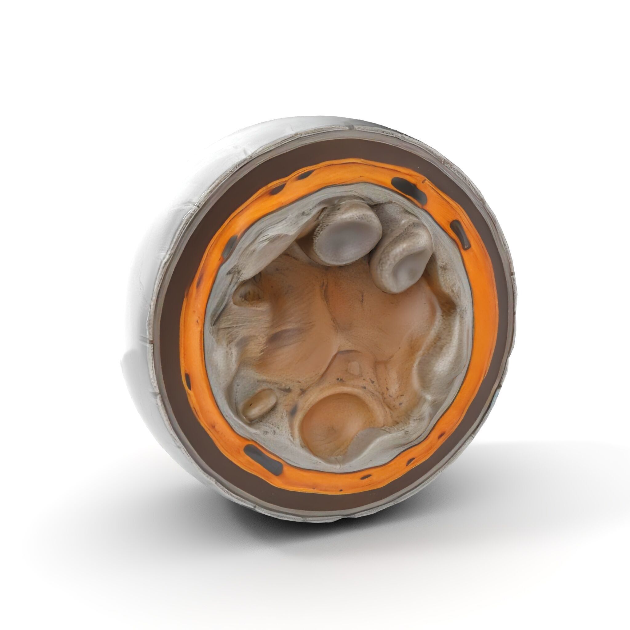 Metal Sphere CrossSection Model Pack with Detailed Interior Low-poly 3D model_9