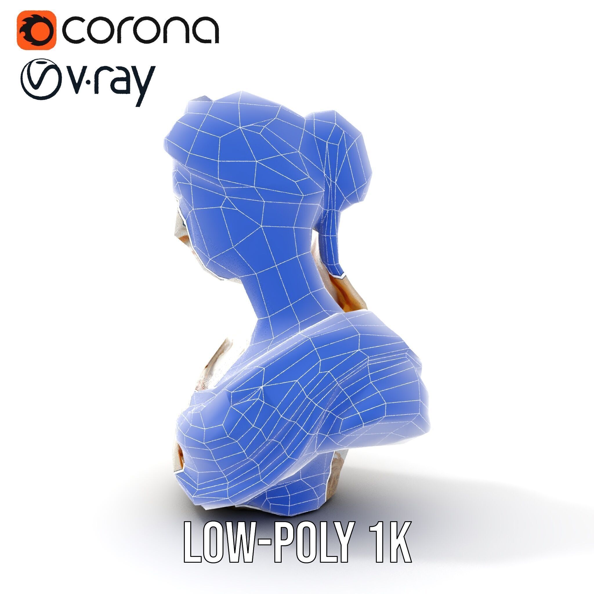 Classical Female Bust Sculpture D Model Pack Low-poly 3D model_29