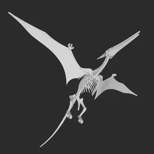 skeleton dinosaur figure