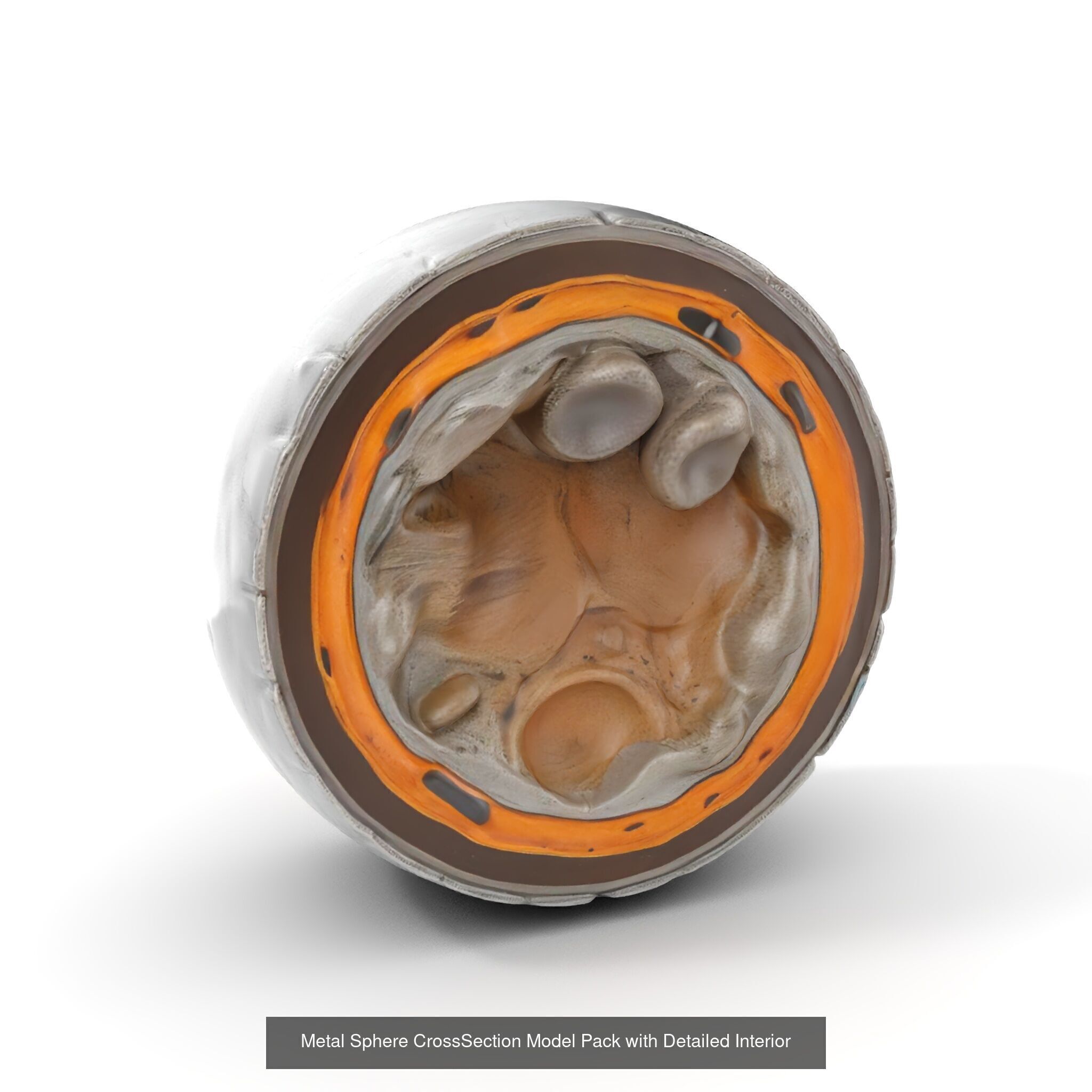 Planetary CrossSections Models Pack 3D Model Collection_25