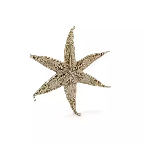 Intricate Decorative Star Model Pack Low-poly 3D model