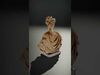 Elegance of Roman Sculptures 3D Model Collection_3