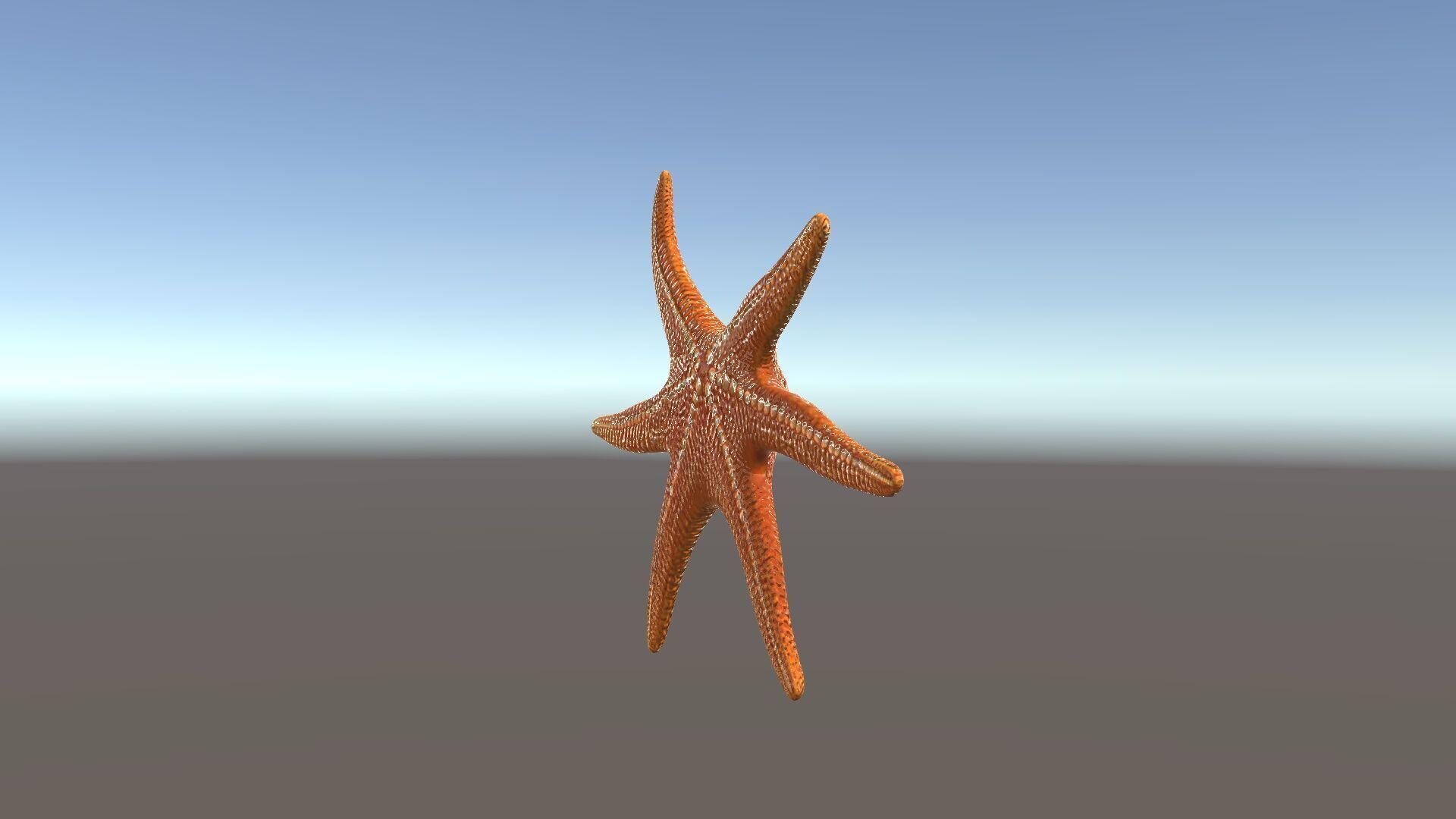 Realistic Starfish Model Pack for D Applications Low-poly 3D model_34