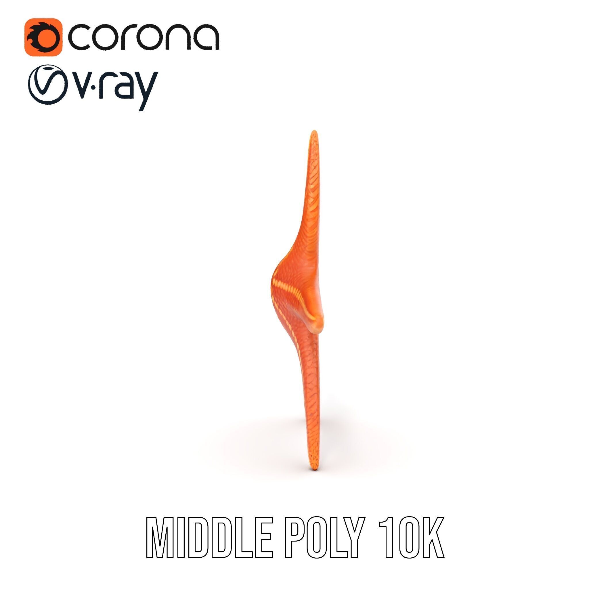 Realistic Starfish Model Pack for D Applications Low-poly 3D model_17