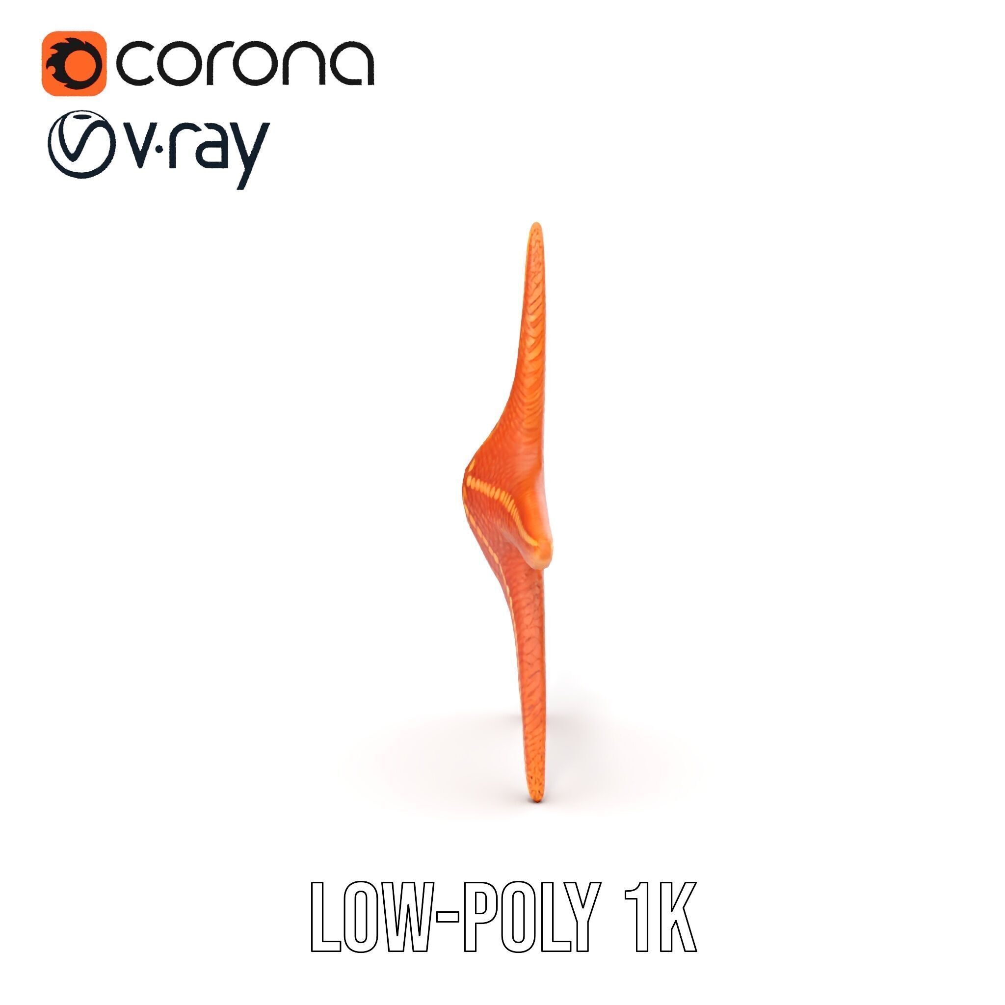 Realistic Starfish Model Pack for D Applications Low-poly 3D model_23