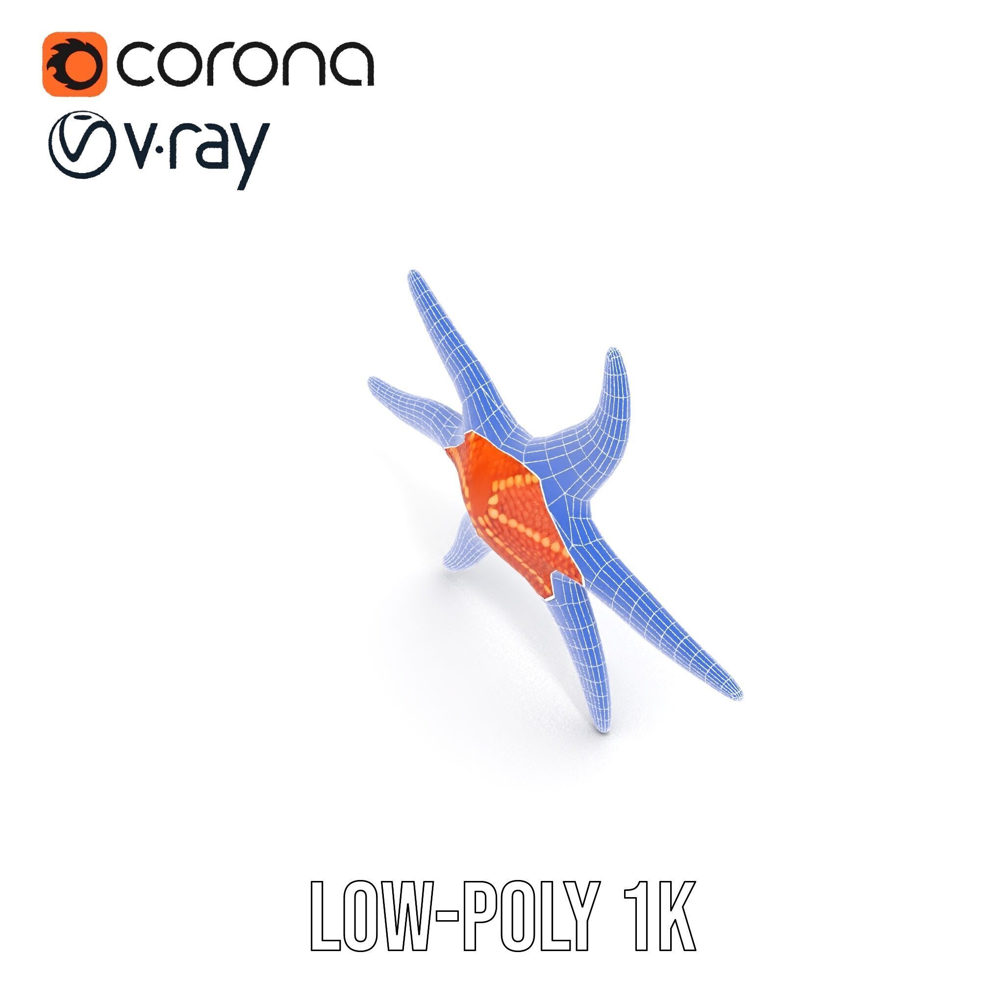Realistic Starfish Model Pack for D Applications Low-poly 3D model_21