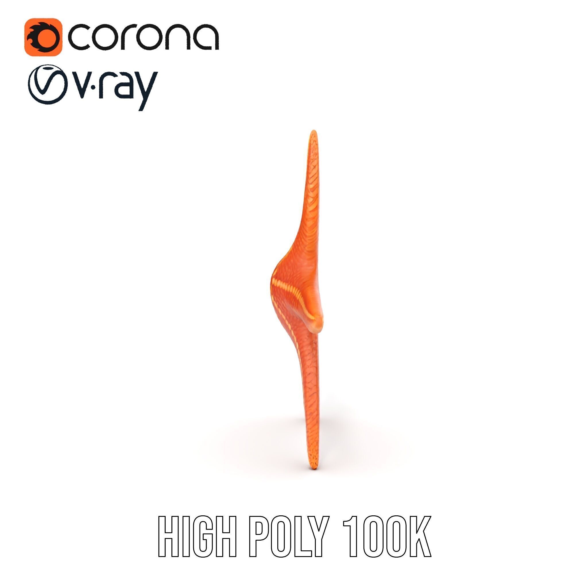 Realistic Starfish Model Pack for D Applications Low-poly 3D model_38