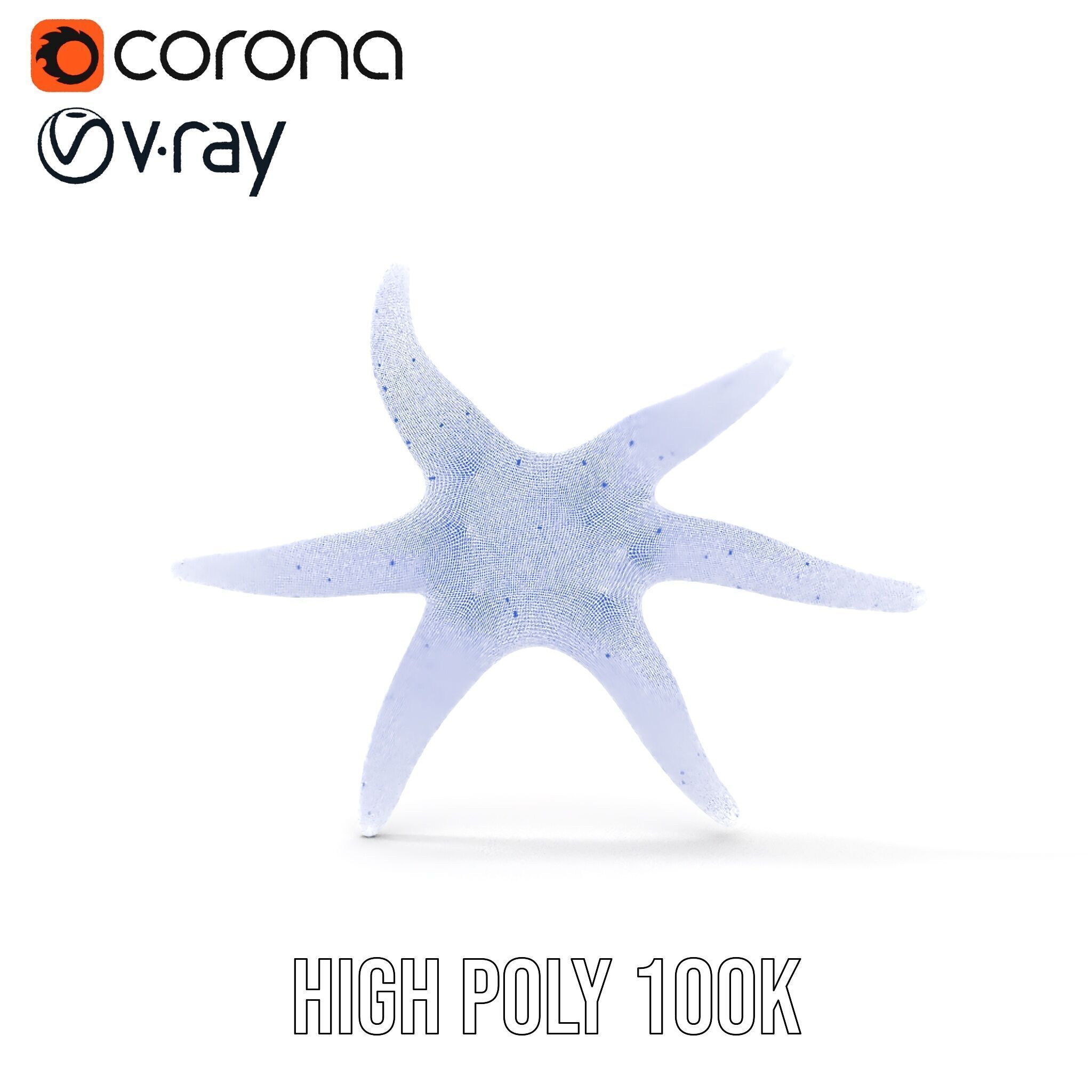 Realistic Starfish Model Pack for D Applications Low-poly 3D model_30