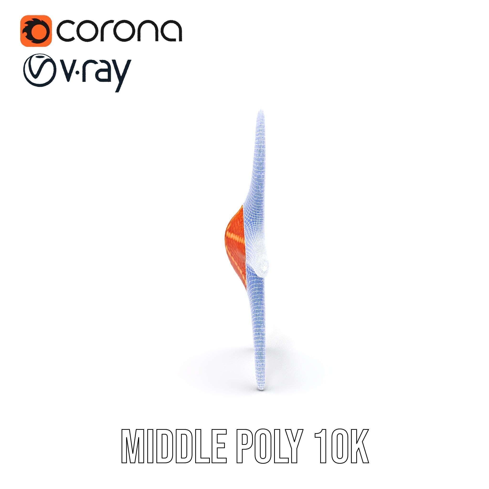 Realistic Starfish Model Pack for D Applications Low-poly 3D model_31