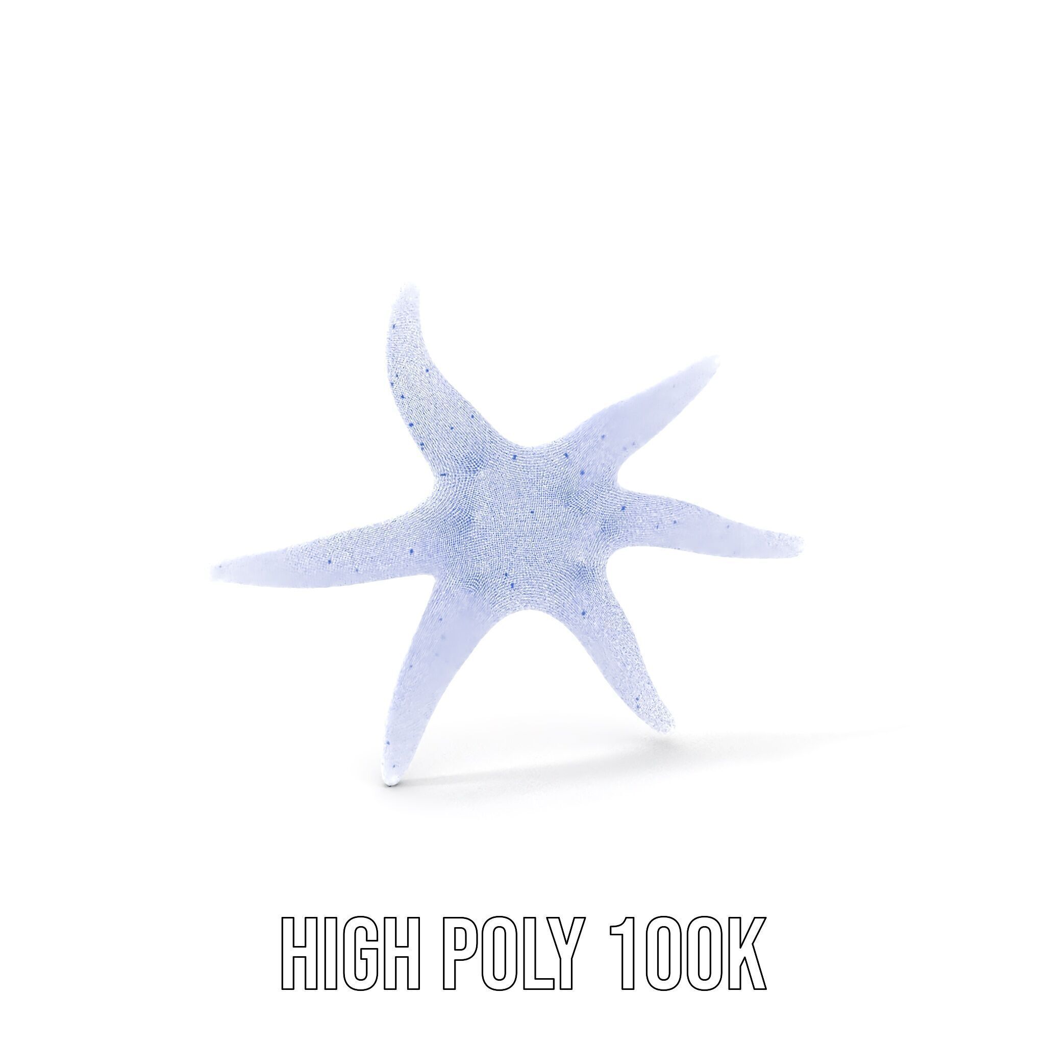 Realistic Starfish Model Pack for D Applications Low-poly 3D model_4