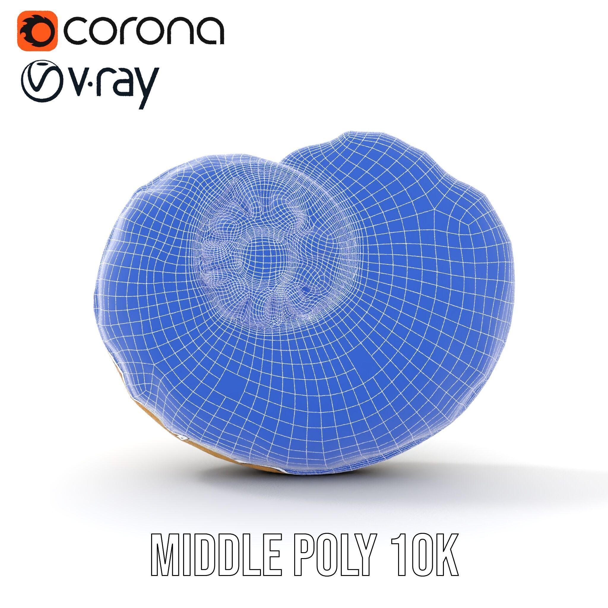 Iridescent Spiral Shell Model Pack Low-poly 3D model_28