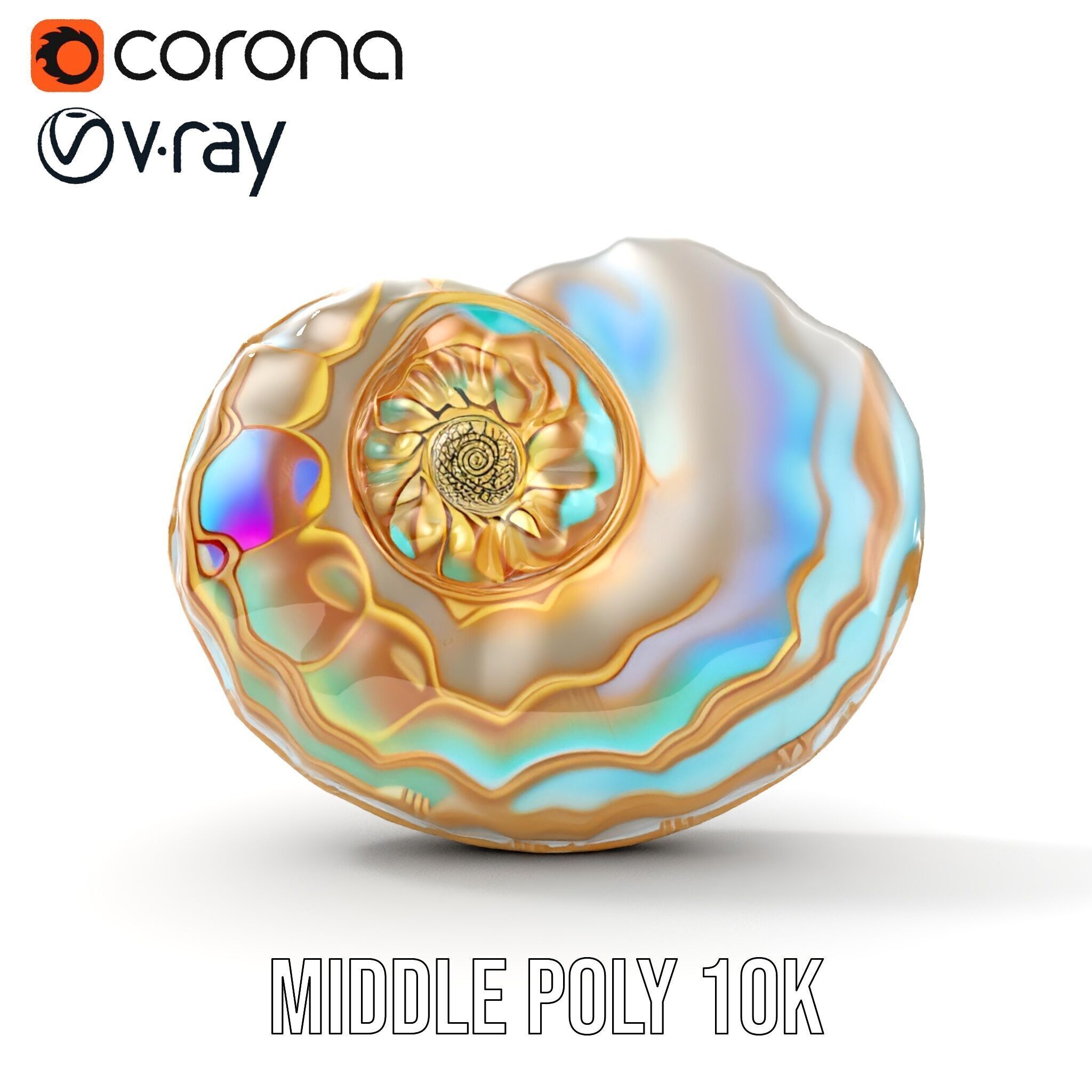 Iridescent Spiral Shell Model Pack Low-poly 3D model_15