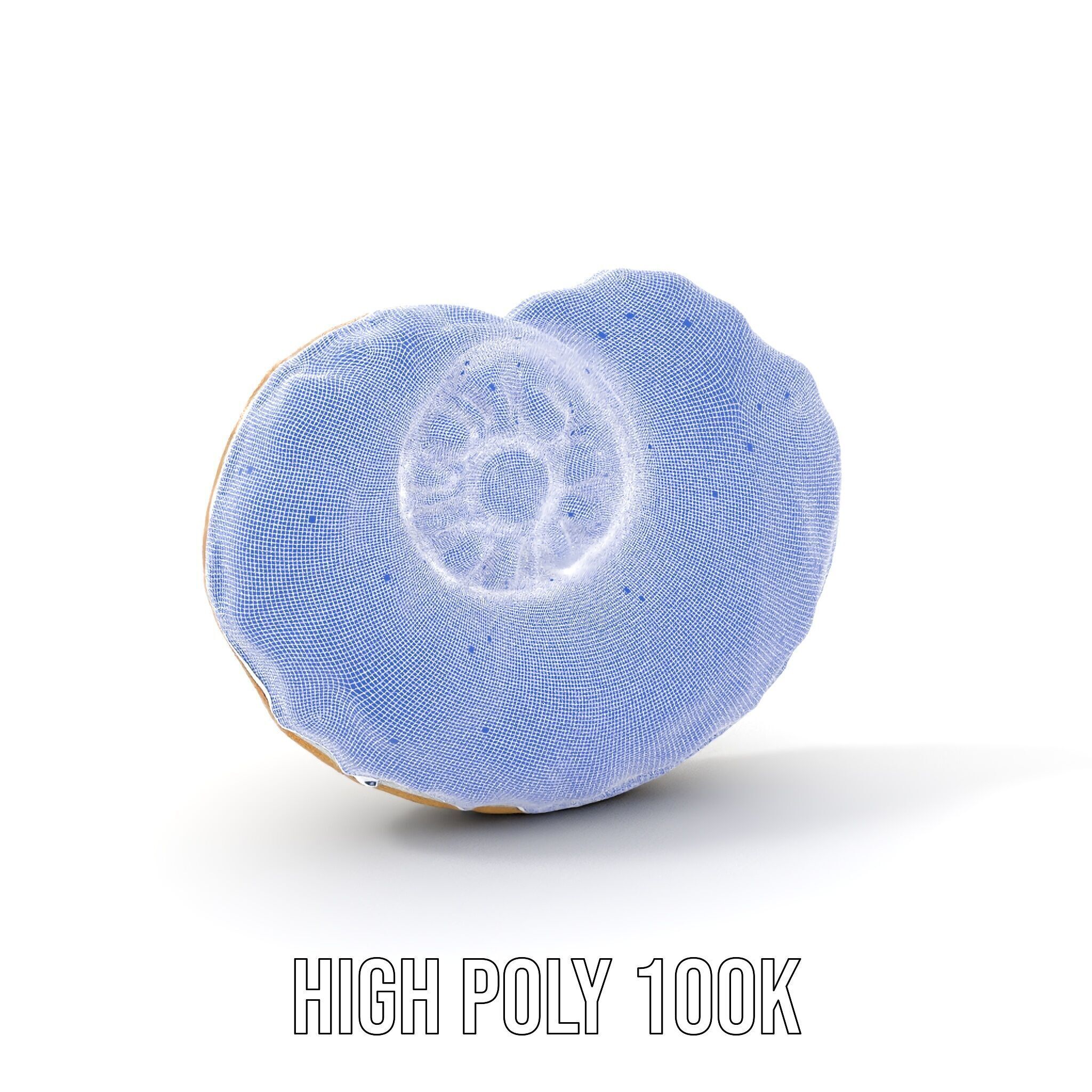 Iridescent Spiral Shell Model Pack Low-poly 3D model_4