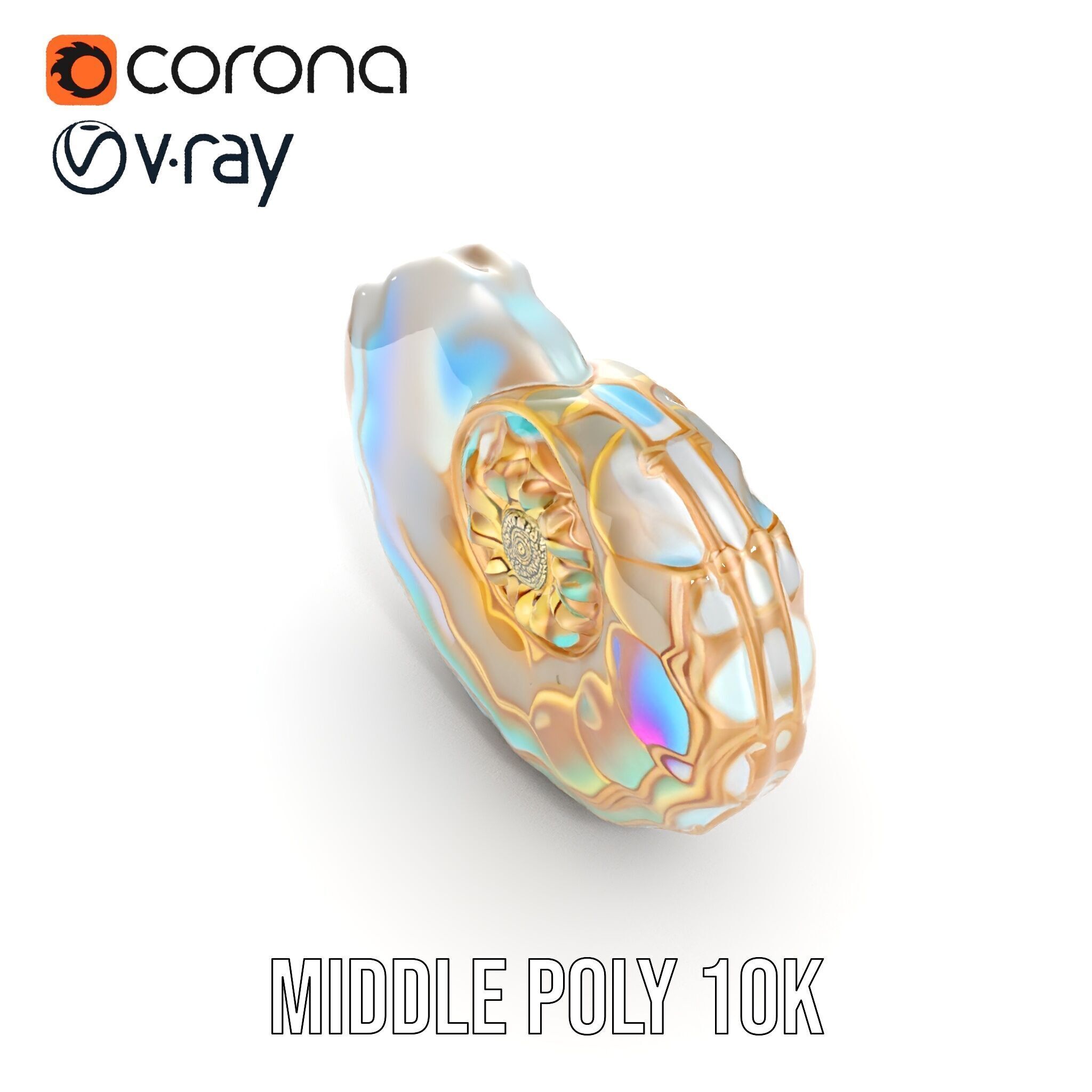 Iridescent Spiral Shell Model Pack Low-poly 3D model_6