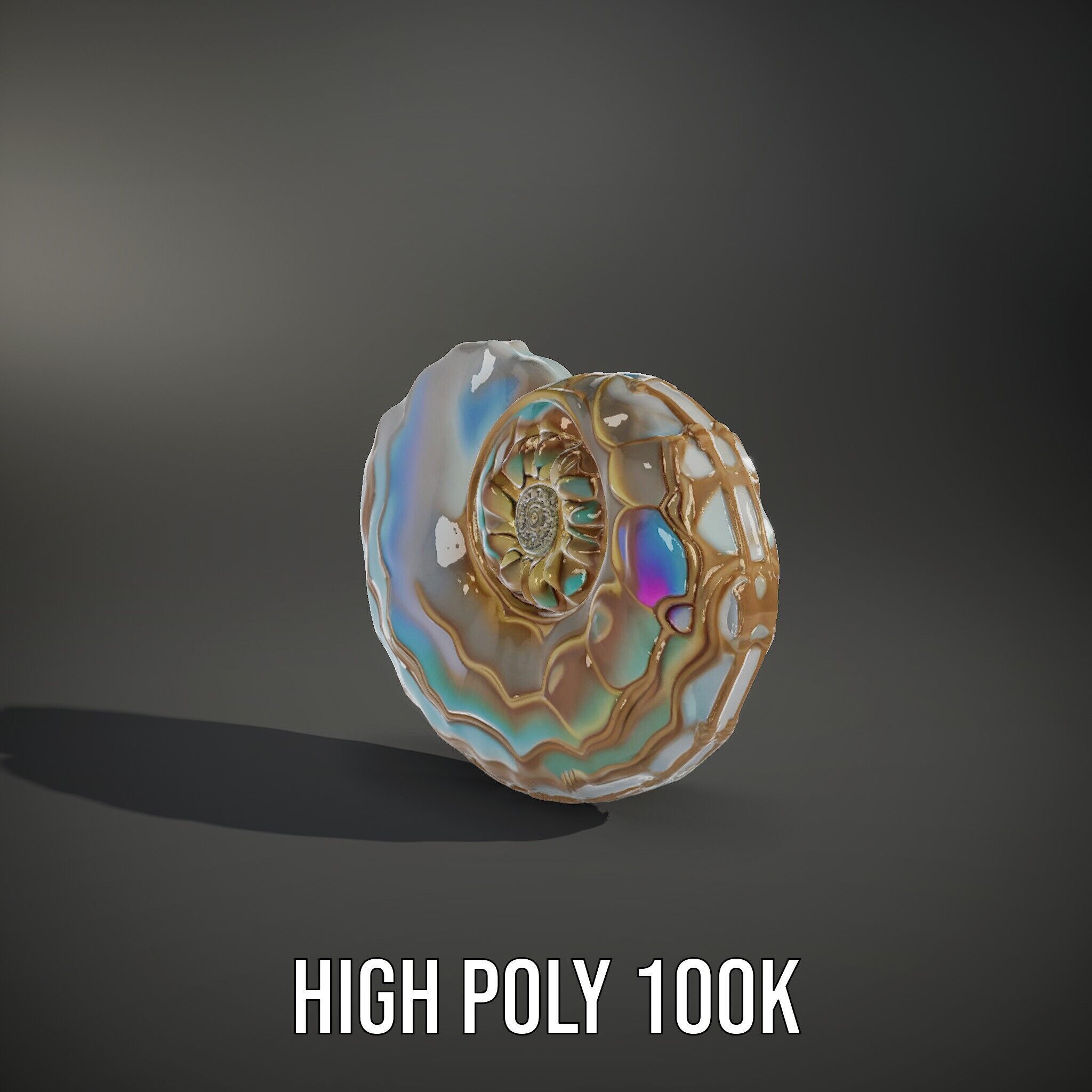 Iridescent Spiral Shell Model Pack Low-poly 3D model_11