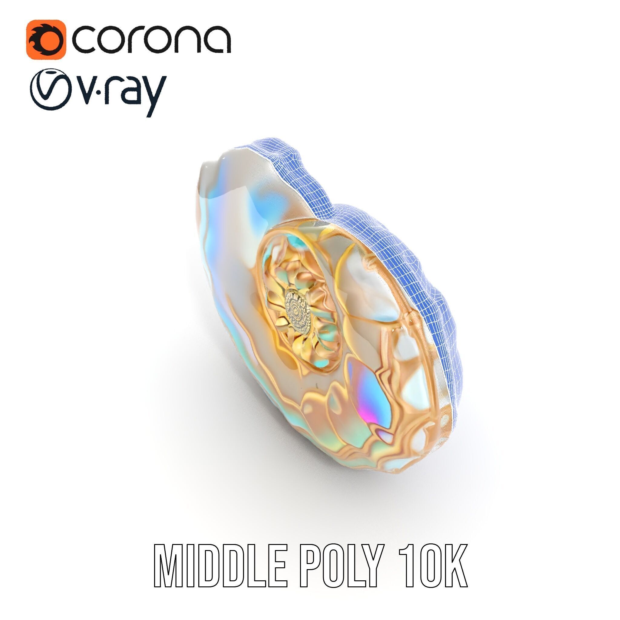 Iridescent Spiral Shell Model Pack Low-poly 3D model_22