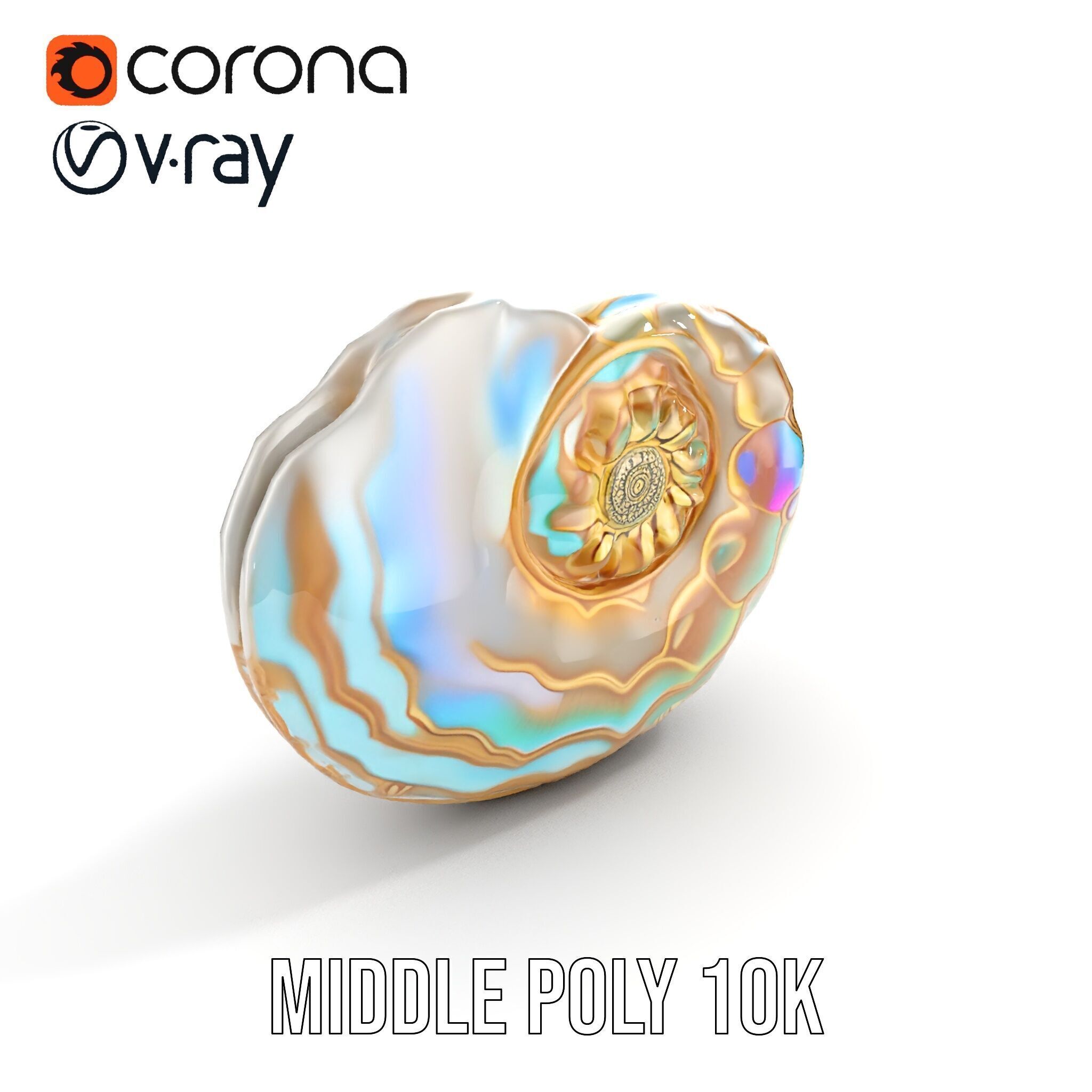 Iridescent Spiral Shell Model Pack Low-poly 3D model_19